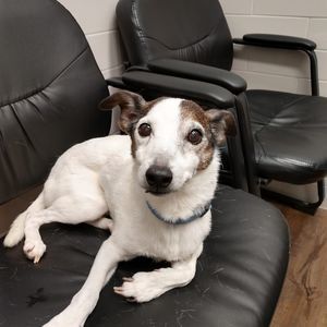 Meet your Posher, Chuck